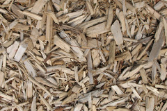 biomass boilers Ranfurly